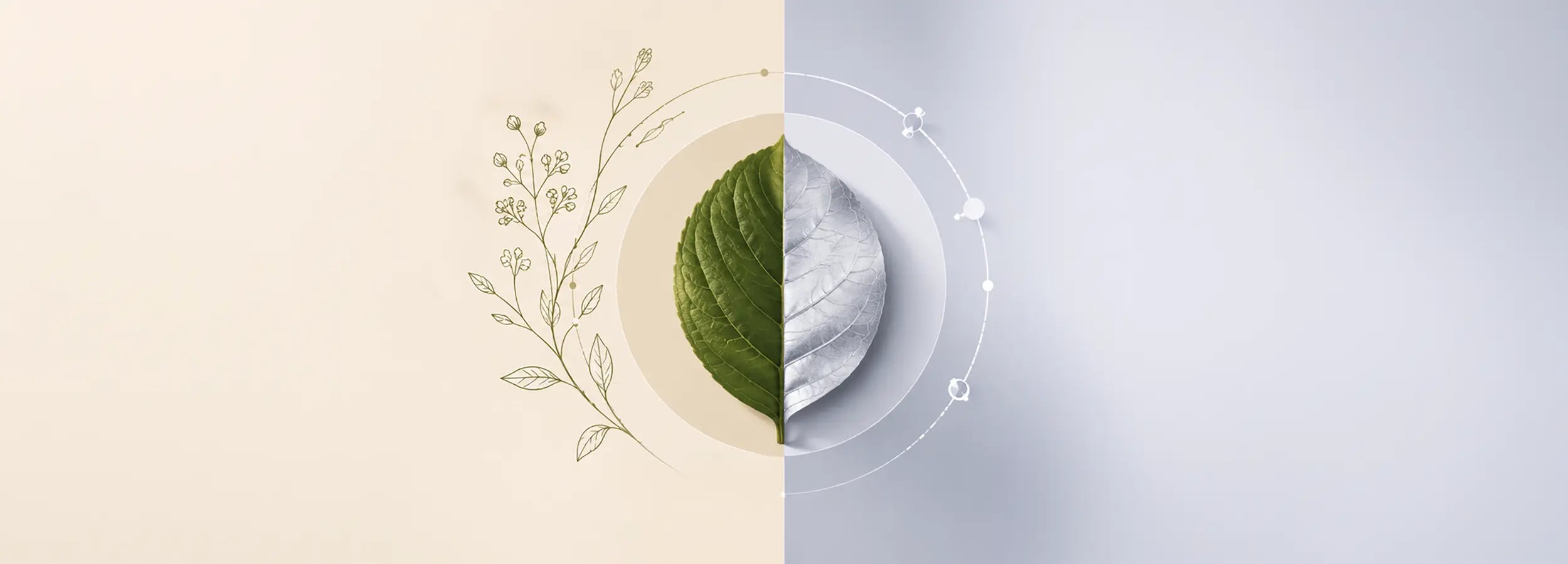 Bakuchiol vs Retinol