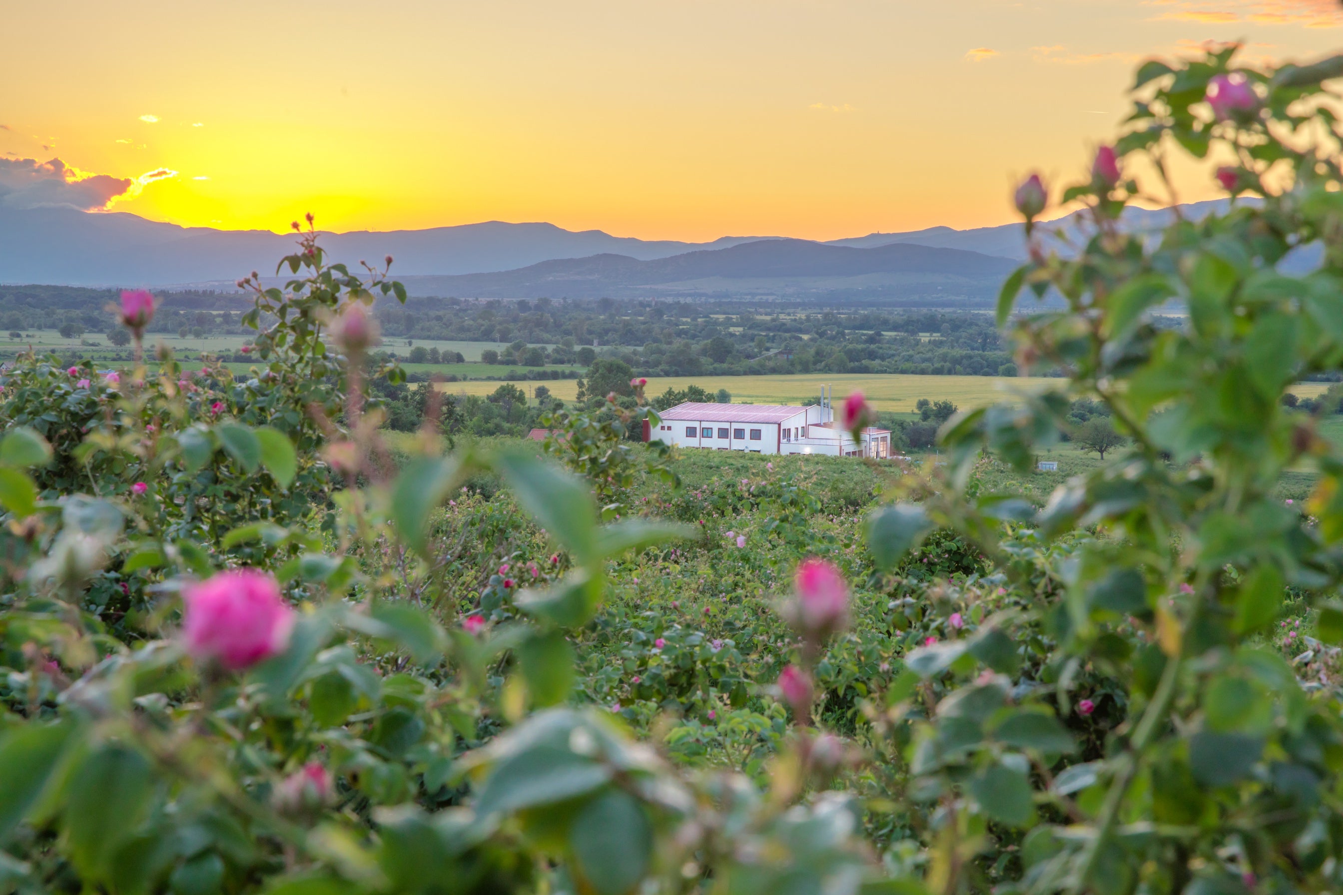 Our 2023 Annual Update on Sustainability, Social Responsibility and Environmental Consciousness