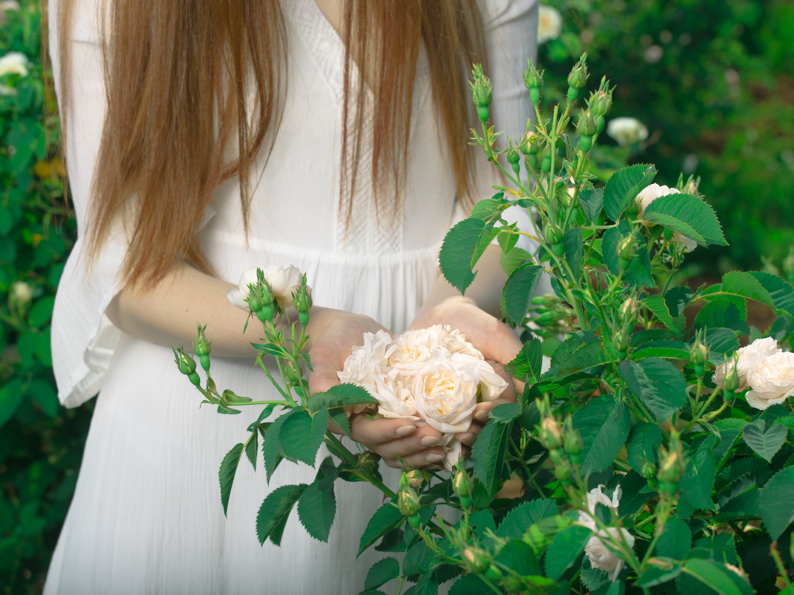 What is Flower Essence?