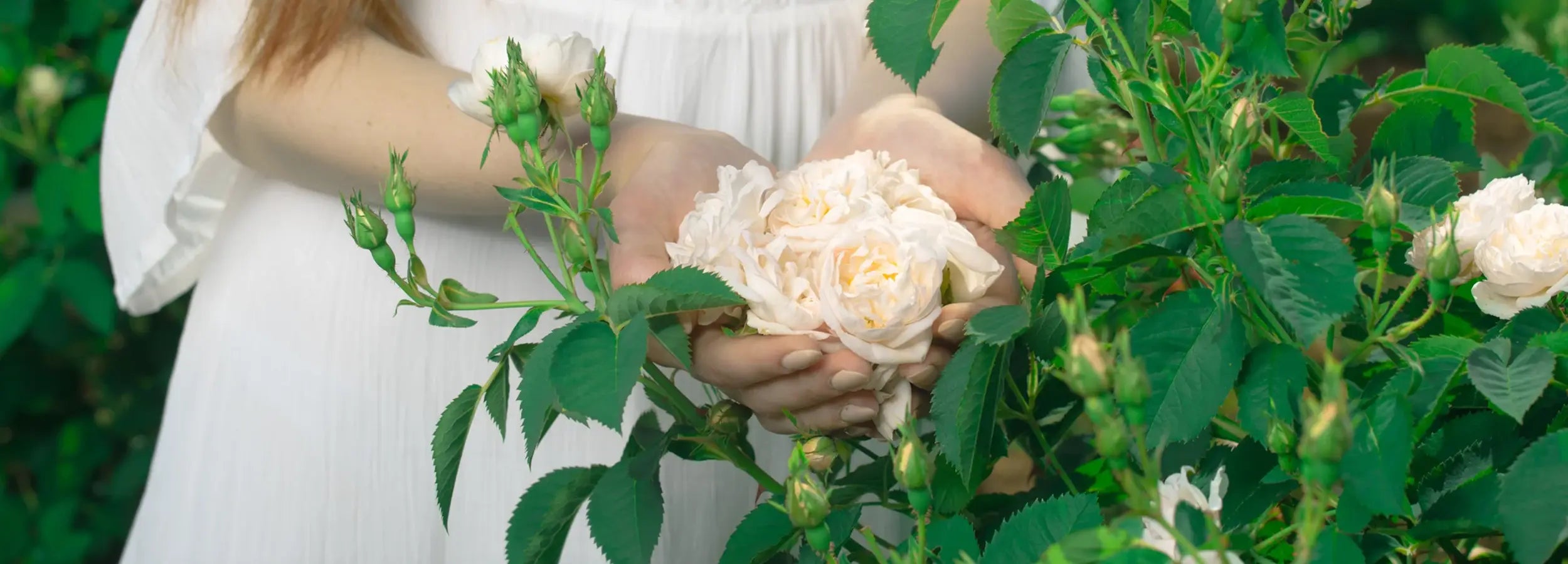 What is Flower Essence
