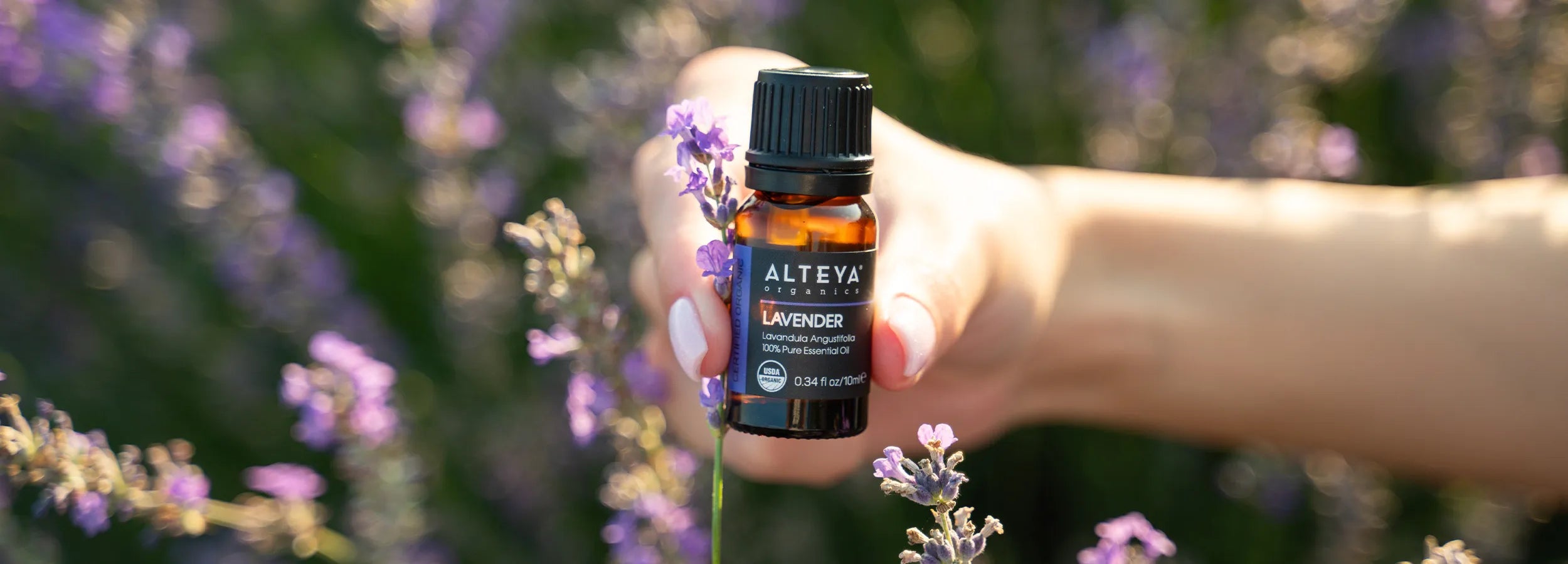 Lavender Essential Oil
