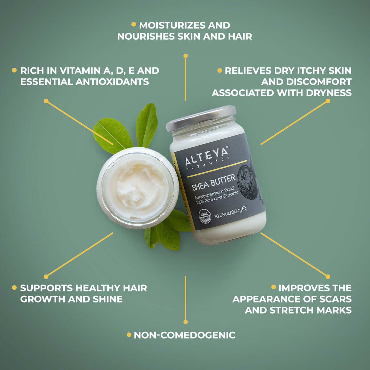 A jar of Alteya Organics' Shea Butter - USDA Organic - 10.58 Oz/300g Glass Jar with a leaf next to it, designed to protect skin and moisturize with the nourishing properties of shea butter.