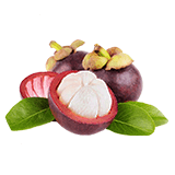 Guava fruit and leaves on a white background.