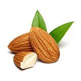 Almonds with green leaves on a white background.