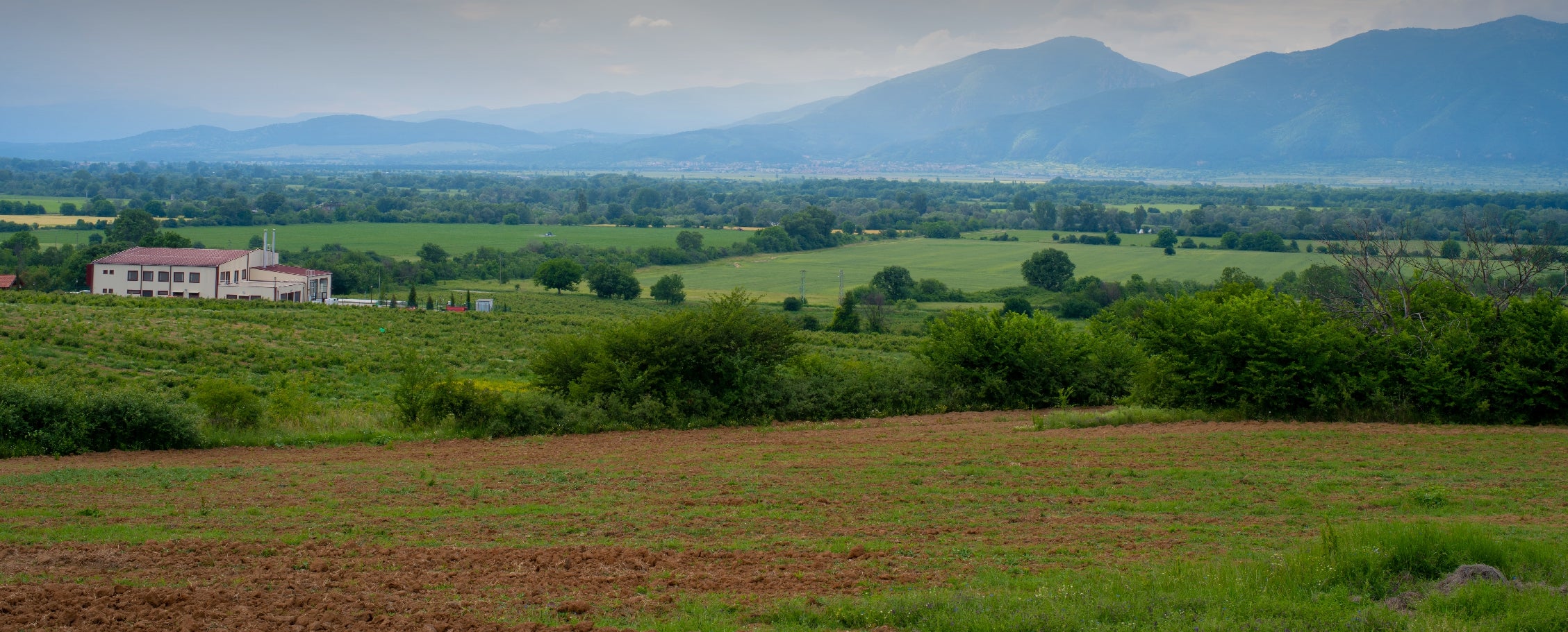 A large field with trees and mountains in the background.