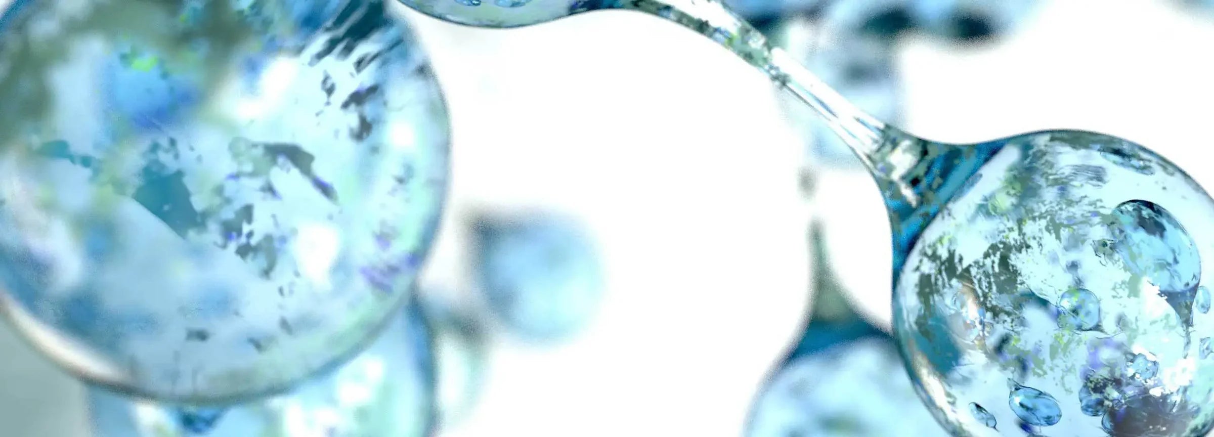 ectoin banner desktop