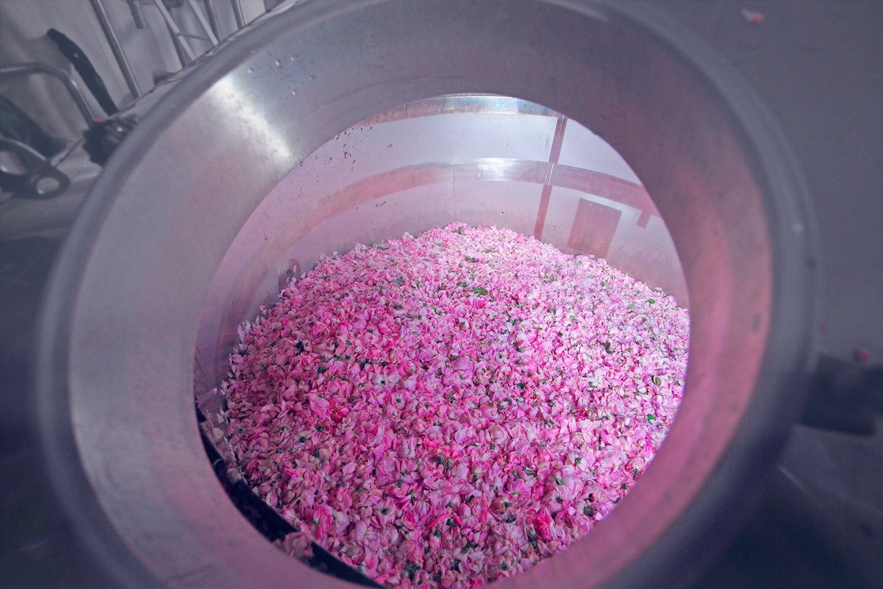 A large metal container filled with pink flowers.