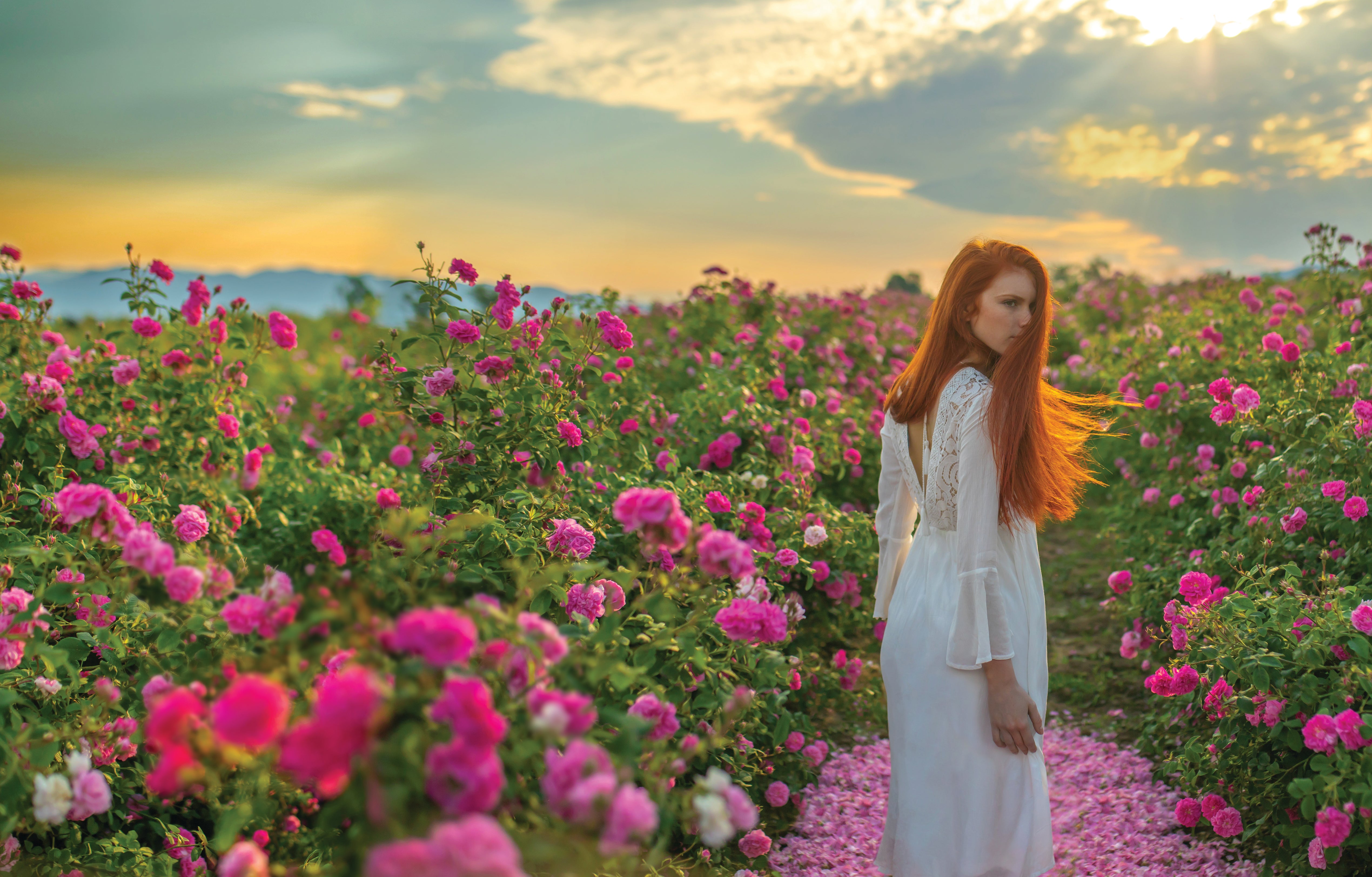 A woman in a white dress standing in a field of roses.