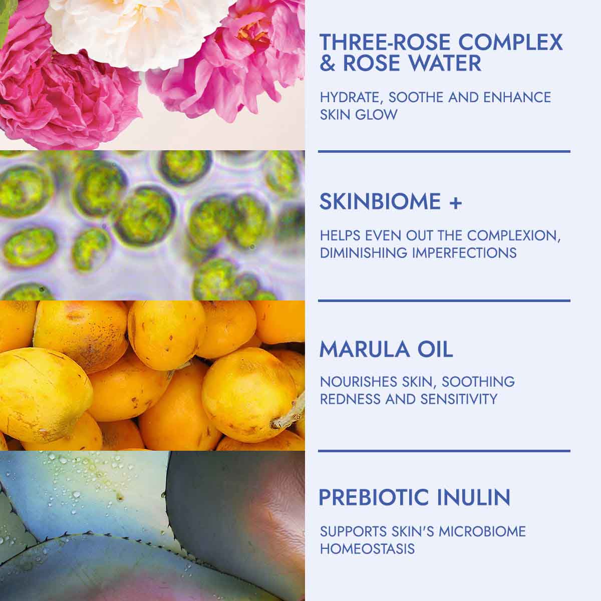 rose hydrobiome-Consumer-Study