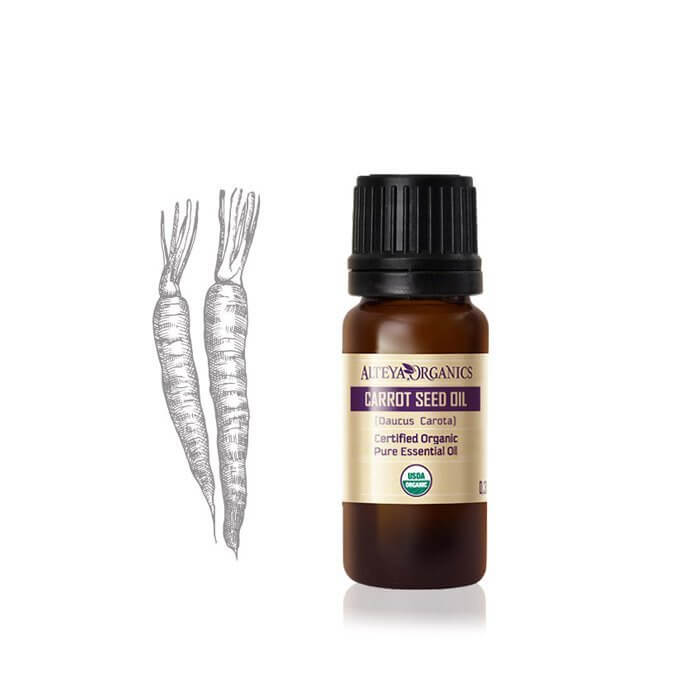 A bottle of Alteya Organics' Carrot Seed essential oil /Daucus carota/ next to a carrot.