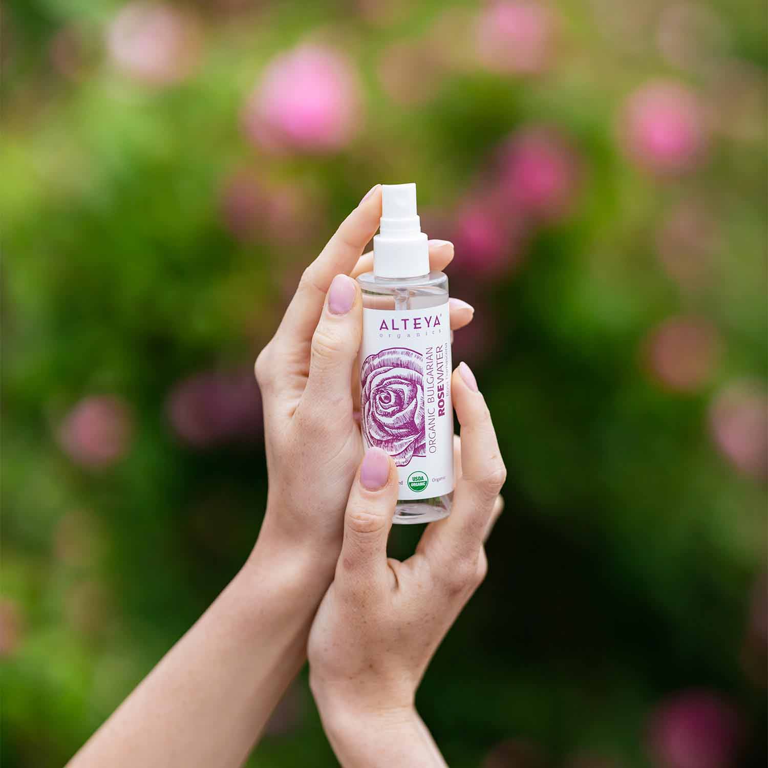 A woman's hand holding a bottle of Bulgarian Organic Rose Water - 3.4 Fl Oz Spray, providing skin hydration by Alteya Organics.
