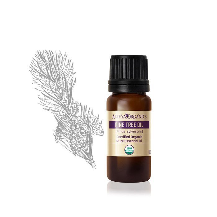 Alteya Organics' Pinus silvestris sibirics essential oil paired with a pine cone creates a serene aromatherapy experience.