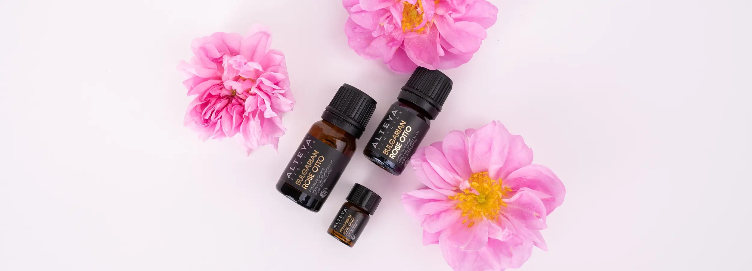how rose oil is made