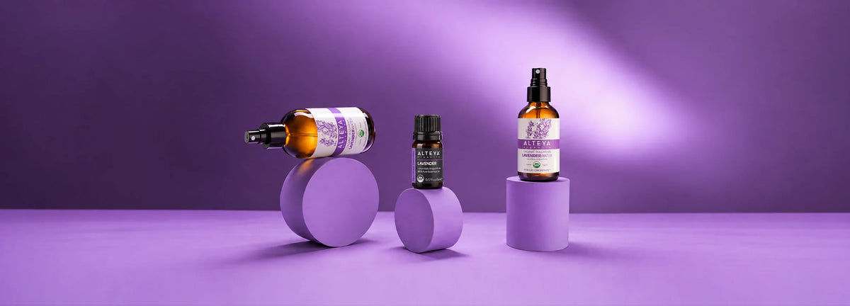 lavender hydrosol vs lavender essential oil