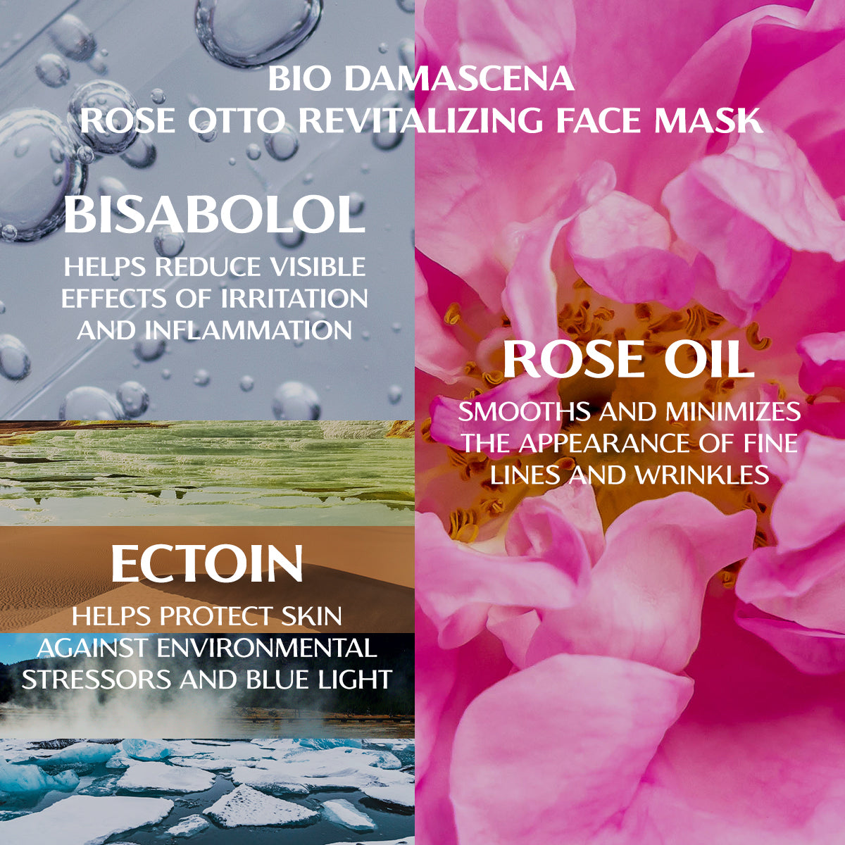 Collage of natural elements and ingredients promoting skincare benefits, with text highlighting the hydrating mask and properties of the BIO DAMASCENA ROSE OTTO REVITALIZING FACE MASK, bisabolol, rose oil, and ectoin.