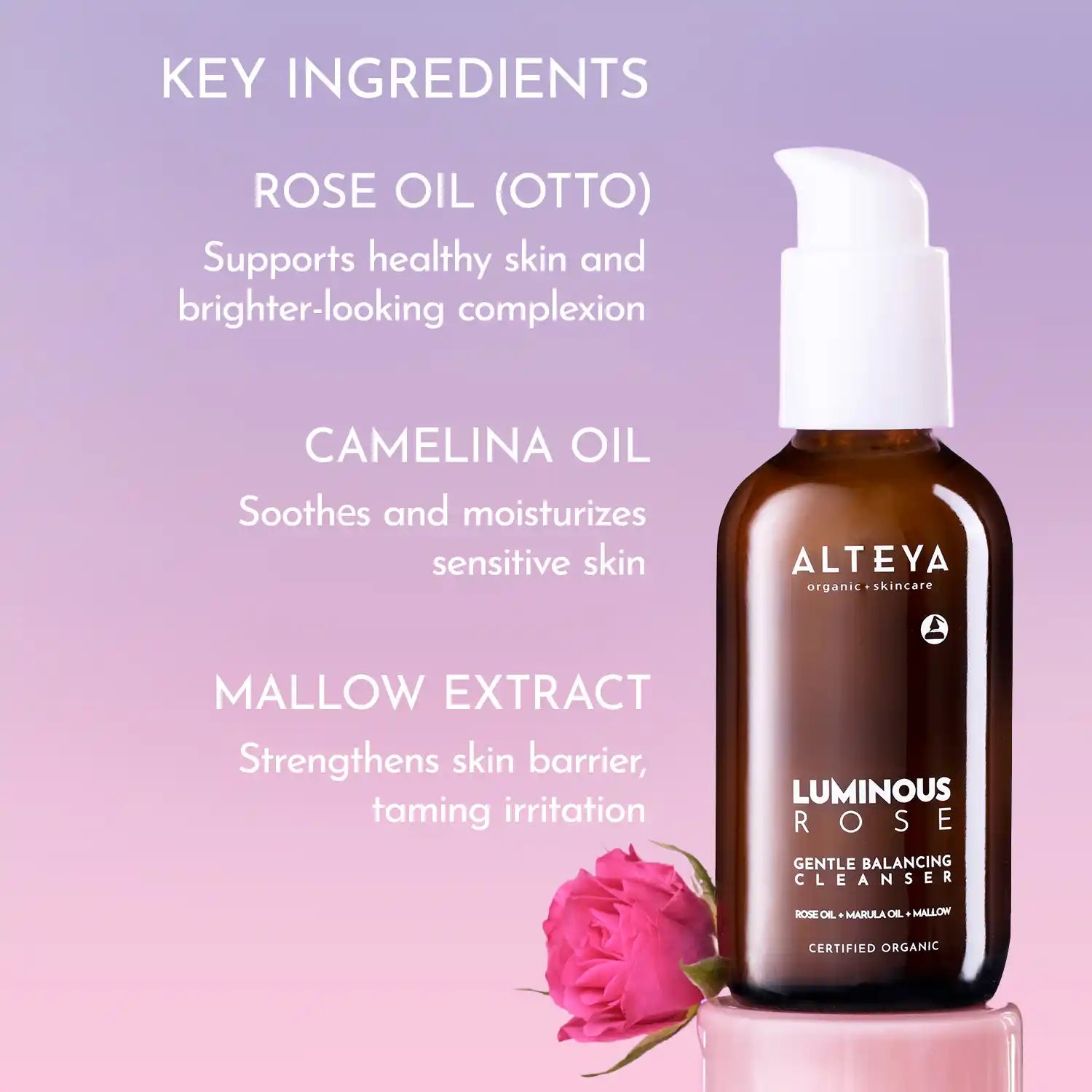 Luminous rose Cleanser Key Ingredients