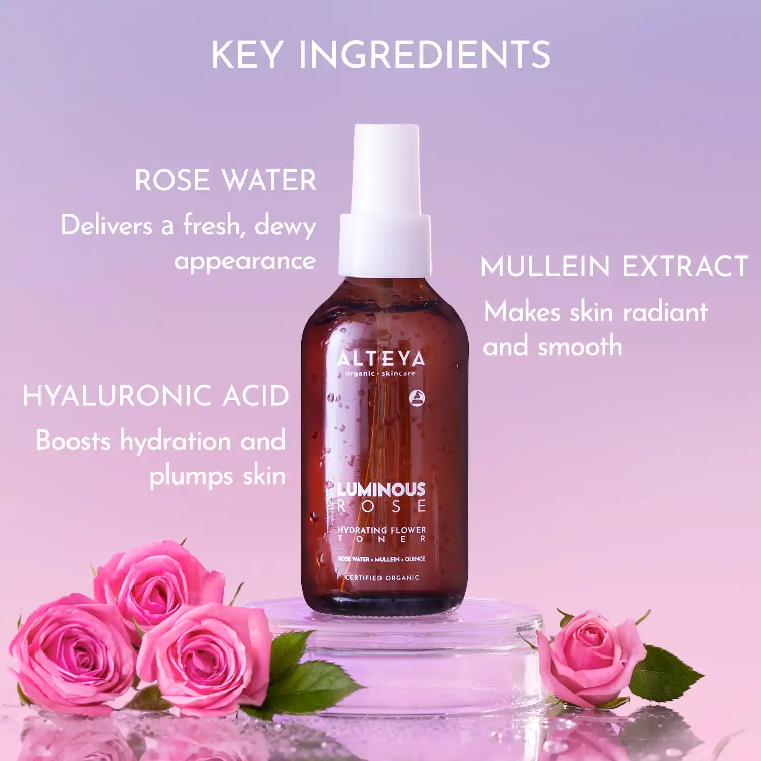 Luminous rose Toner Key Ingredients