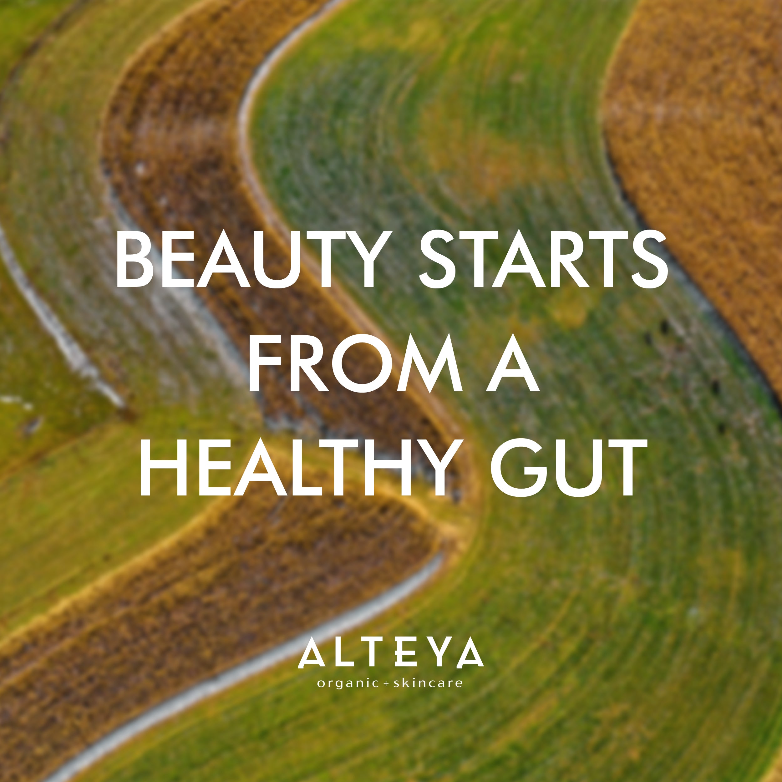 Beauty starts from a healthy gut. Improve your gut health with Rose Beauty Prebiotic and Probiotic - Synbiotic Skin & Metabolism Vegan Organic Supplement from Alteya Organics.