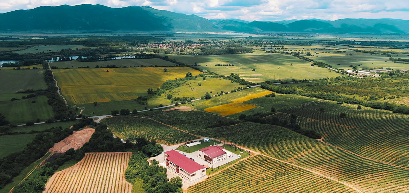 An aerial view of a vineyard and mountains.