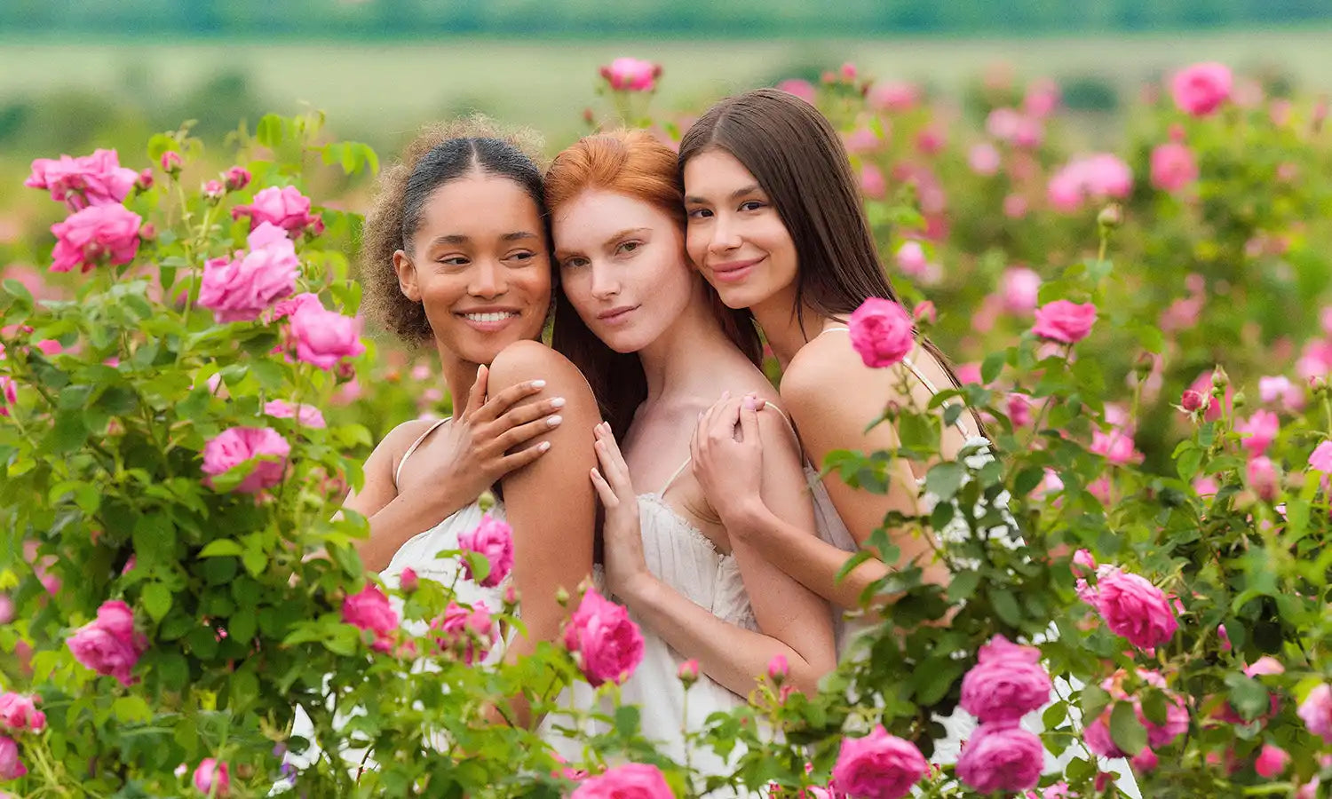 Alteya organics rose fields