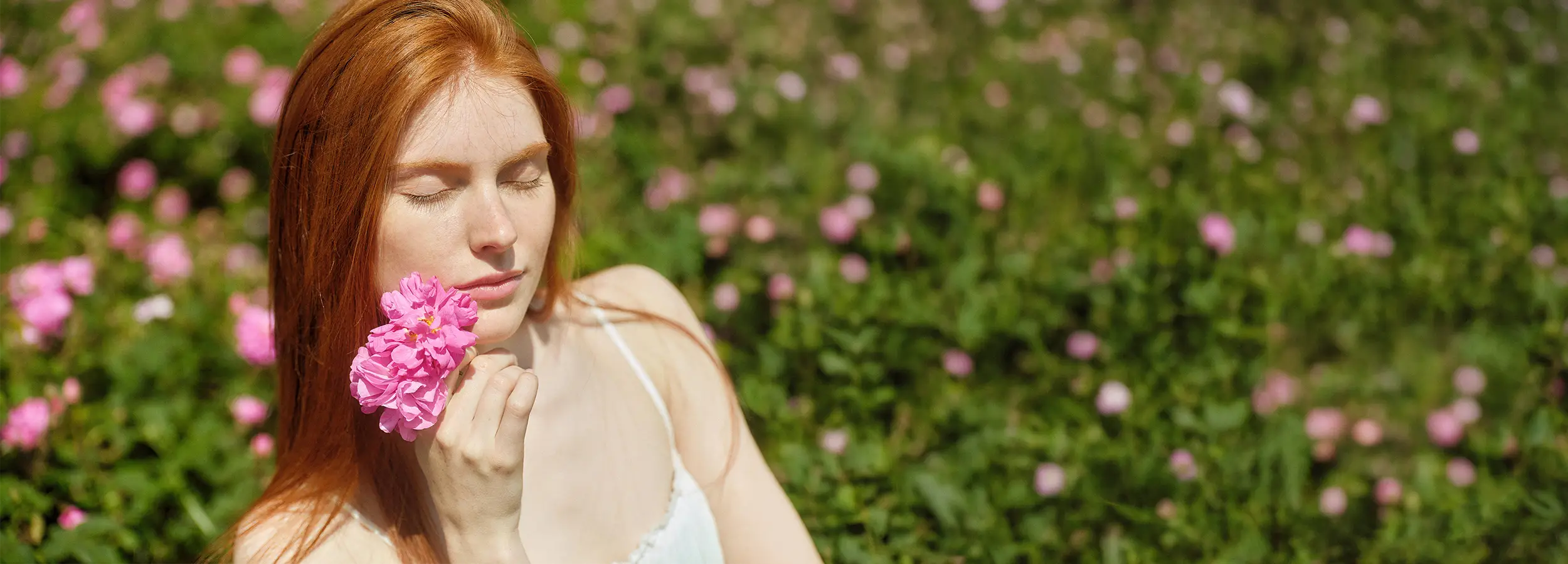 Rose fields with model