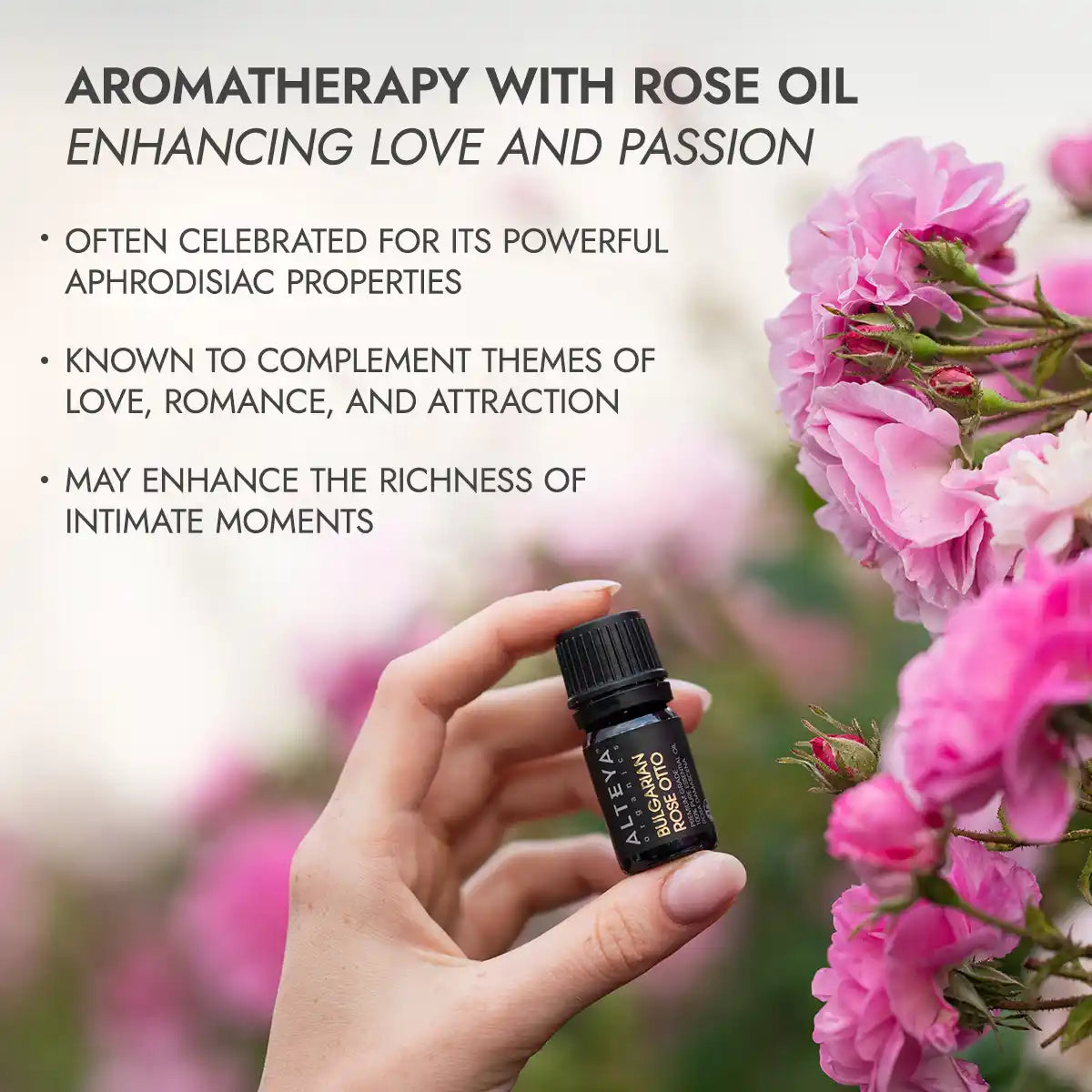 aromatherapy with bulgarian rose essential oil