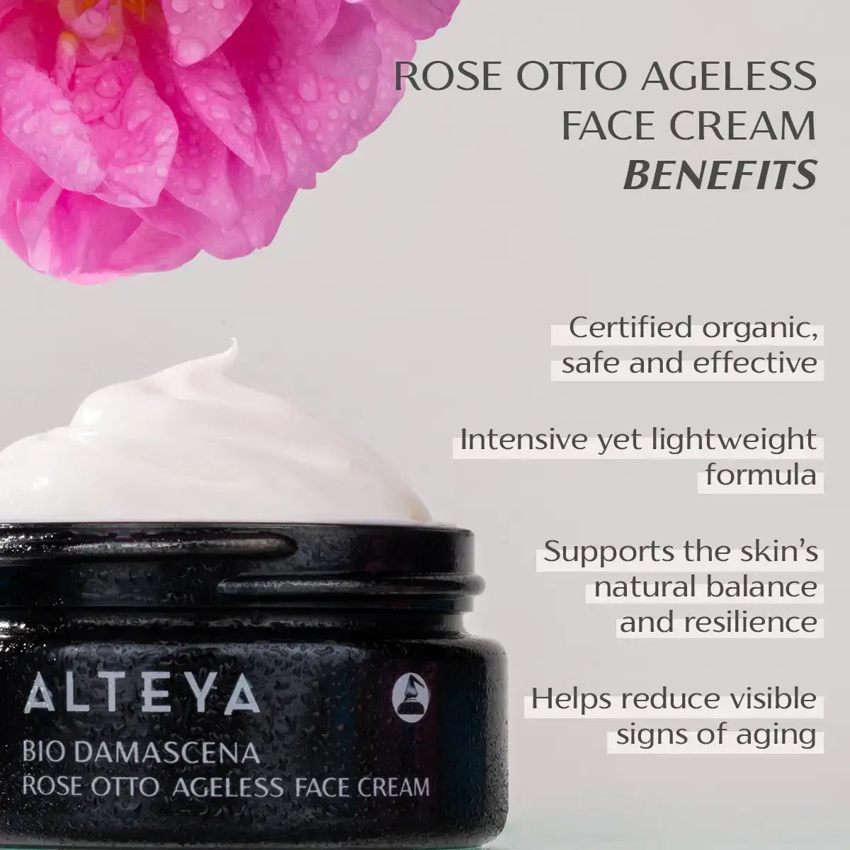 An open jar of Bio Damascena Rose Otto Ageless Face Cream next to a pink rose. Text highlights benefits: certified organic, lightweight, supports skin's balance, and reduces visible signs of aging with the added potency of rose oil.
