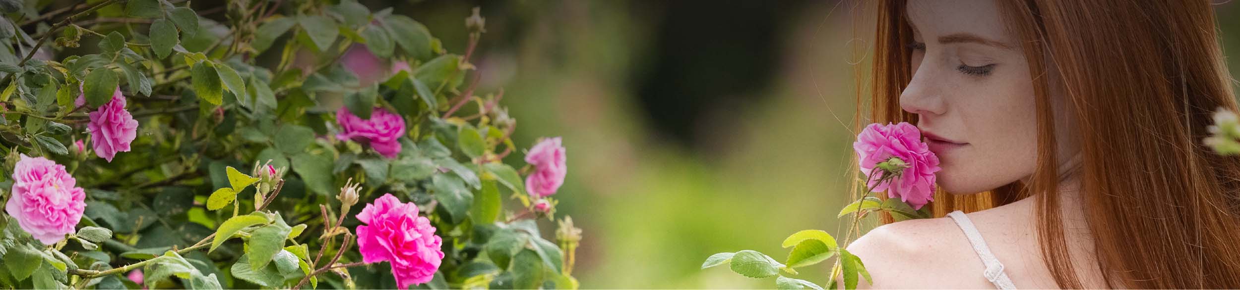 A woman is smelling roses in a garden.