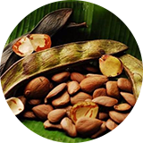 Nuts and seeds on a banana leaf.