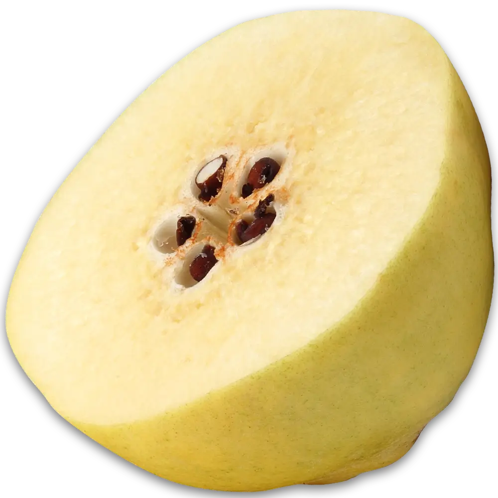 Quince extract
