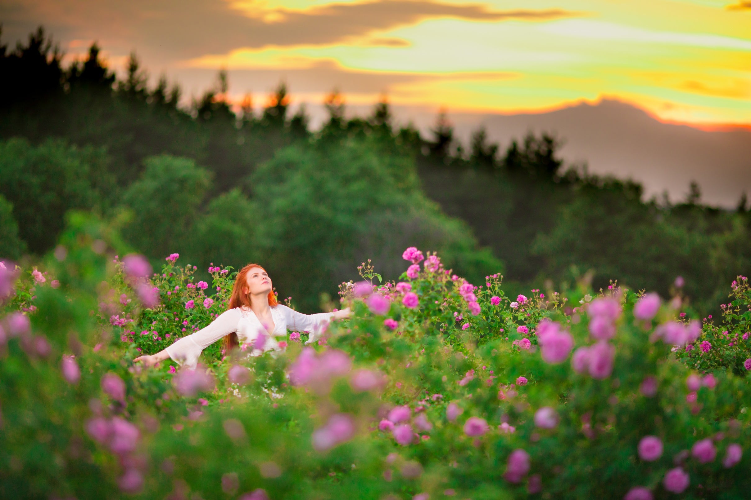 A woman in a field of flowers.