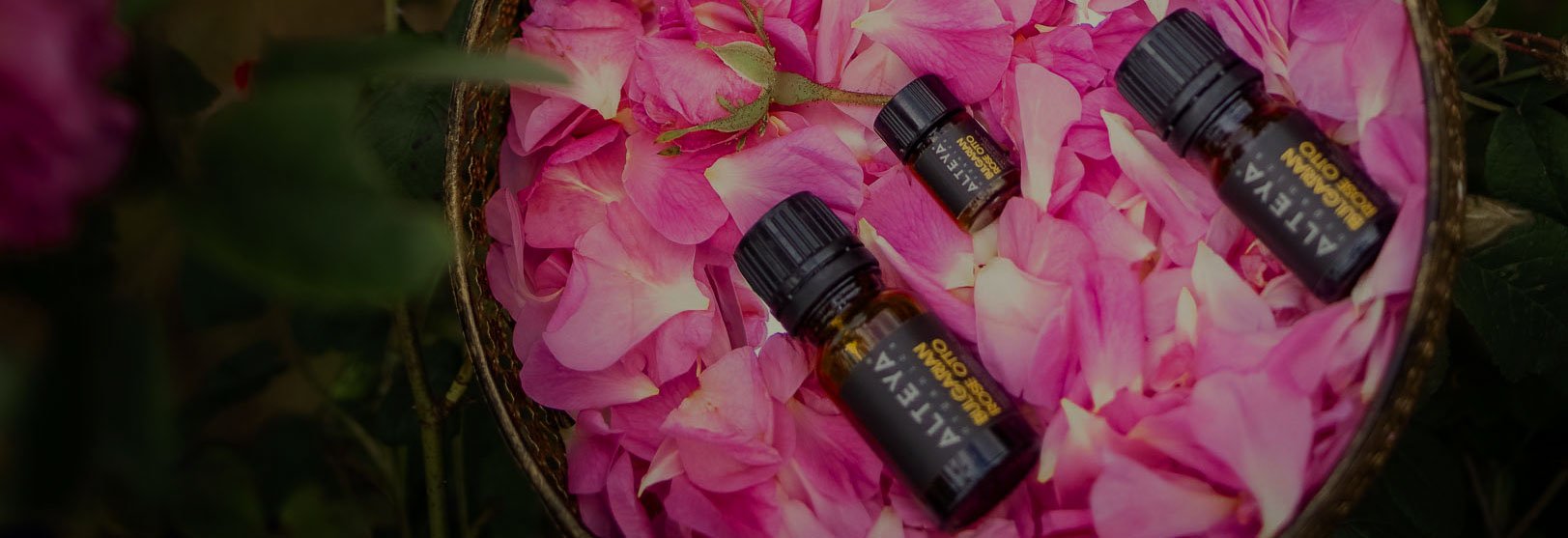 Essential oils on a plate with pink petals.