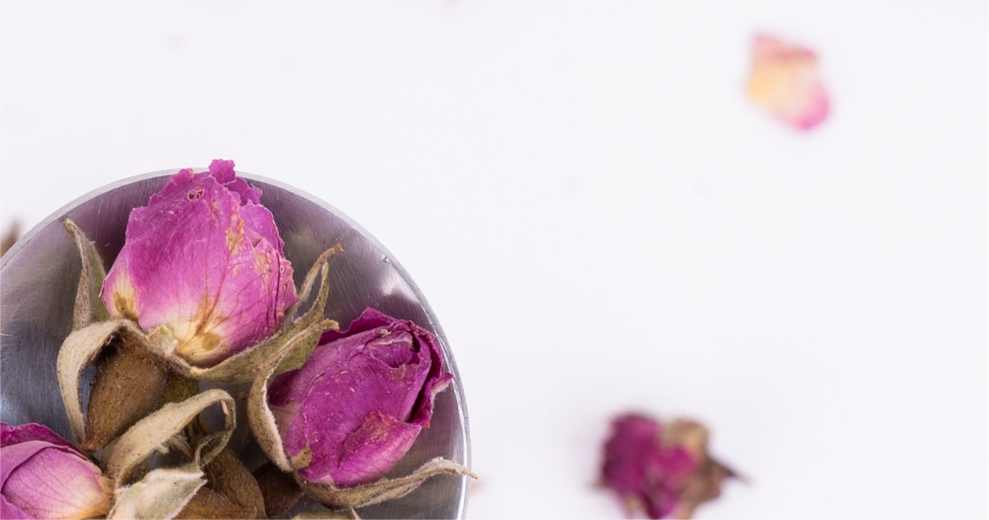 Dried rose petals in a silver spoon on a white background.