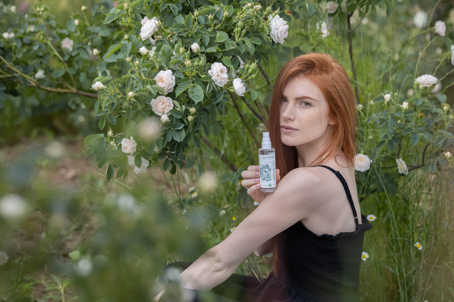 A woman with red hair sitting in a field with roses.