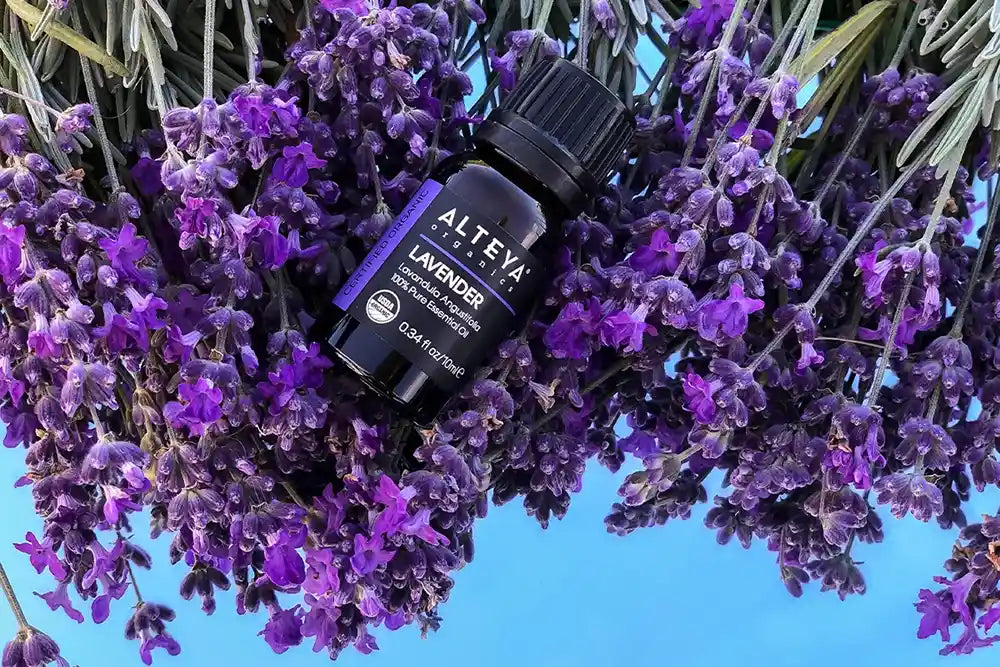what is lavender essential oil