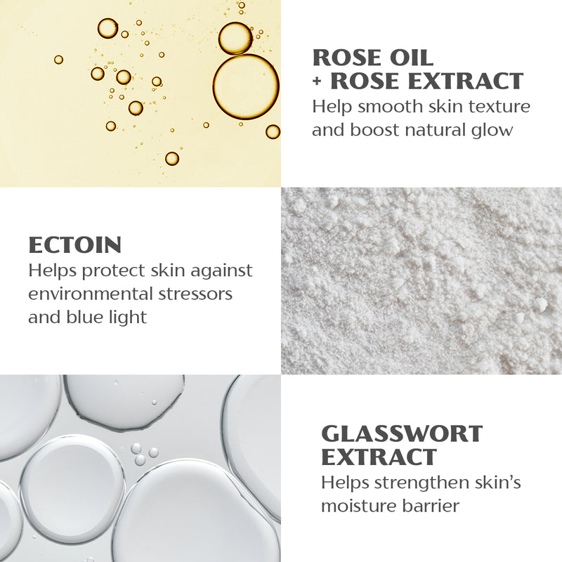 bio-damascena-rose-otto-day-moisturizer-key-ingredients