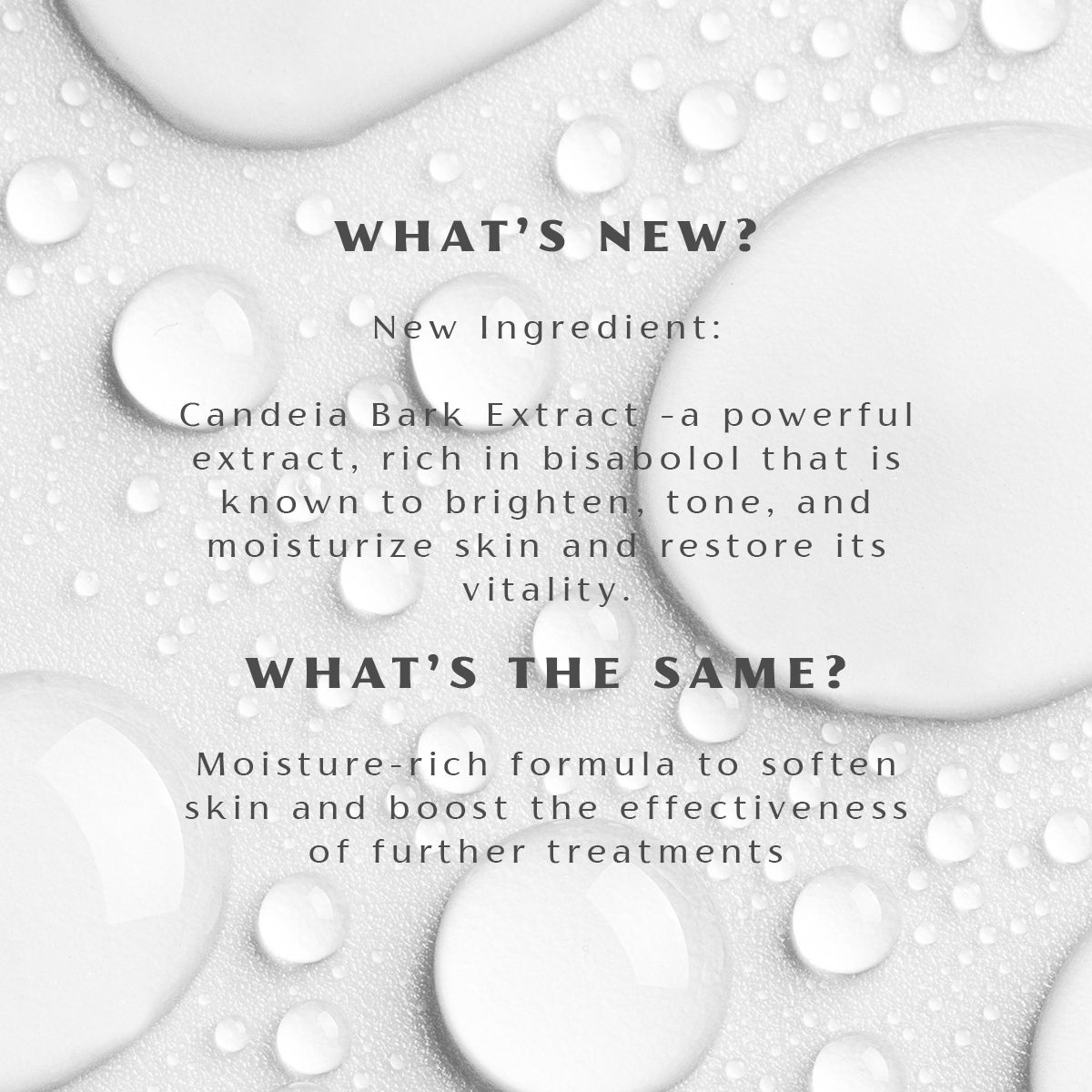 Discover the latest updates and advancements in our line of Bio Damascena Rose Otto Facial Toner from Alteya Organics. Stay updated on what's new and exciting as we continuously hydrate and clarify your skin with our exceptional products.