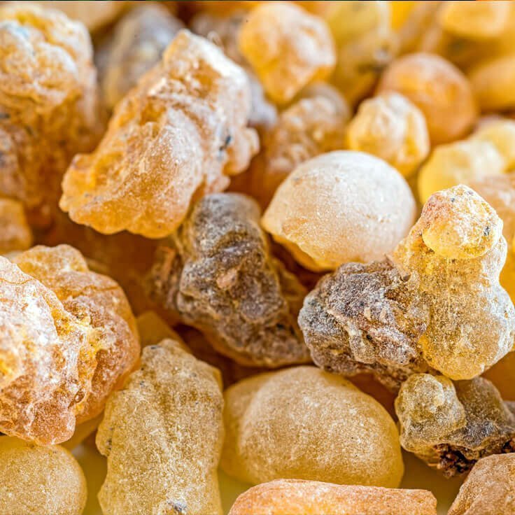 A close up image of a bunch of dried oranges with Alteya Organics' Frankincense (Boswellia Serrata) Essential Oil.